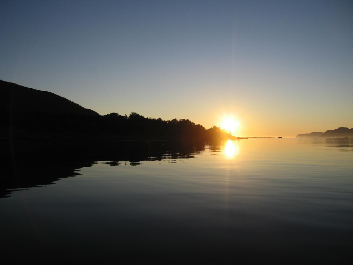 Toftenes Sjohuscamping Alsvåg エクステリア 写真