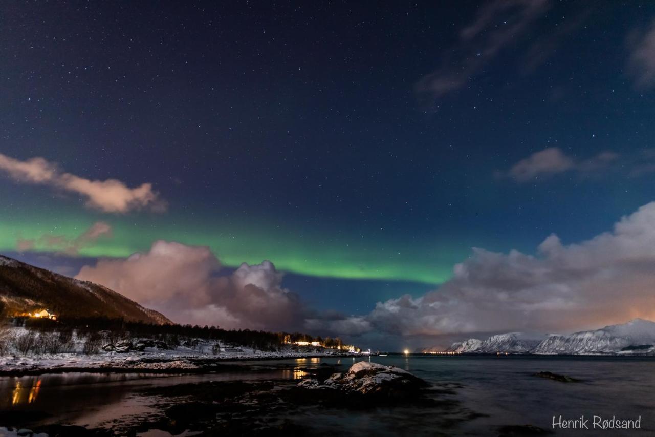 Toftenes Sjohuscamping Alsvåg エクステリア 写真